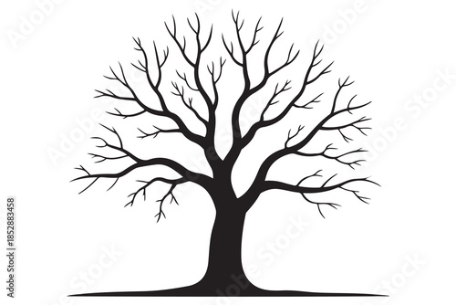 Leafless tree silhouette on white background
