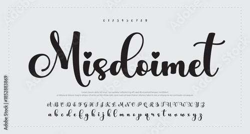 signature Font Calligraphy Logotype Script Brush Font Type Font lettering handwritten