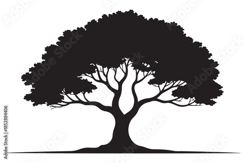 Beautiful leafy tree silhouette illustration featuring wide canopy and natural curved branches
