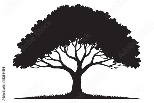 Beautiful leafy tree silhouette illustration featuring wide canopy and natural curved branches
