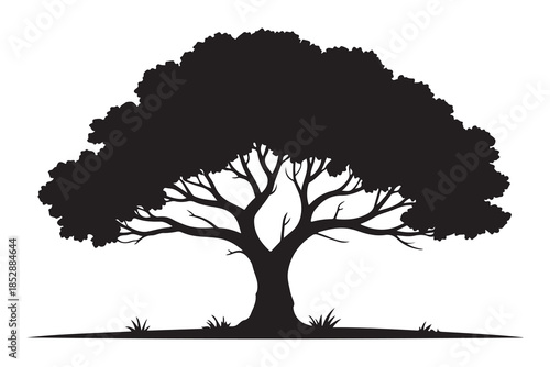 Beautiful leafy tree silhouette illustration featuring wide canopy and natural curved branches
