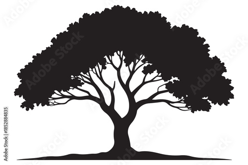 Beautiful leafy tree silhouette illustration featuring wide canopy and natural curved branches
