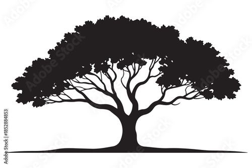 Beautiful leafy tree silhouette illustration featuring wide canopy and natural curved branches
