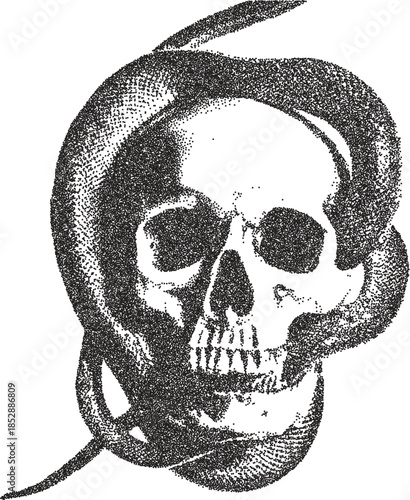 Skull retro y2k stipple design skeleton halftone brutalist urban vector png with clear background, bone 2000s photocopy grunge tattoo gen z effect