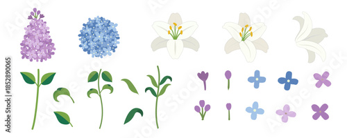 set of flowers Floral vector illustration set with flower heads and green stems