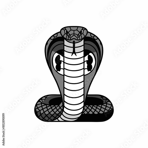 vector illustration of a cobra snake on a white background