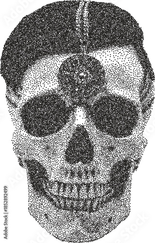 Skull vintage y2k stipple art, bones halftone stipple brutalist retro vector png with transparent background, macabre 2000s aesthetic photocopy effect tattoo