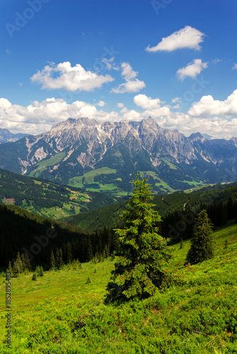 Leogang Mountains Leoganger Steinberge with highest peak Birnhorn, idyllic summer landscape Alps, Zell am See district, Salzburg federal state, Austria