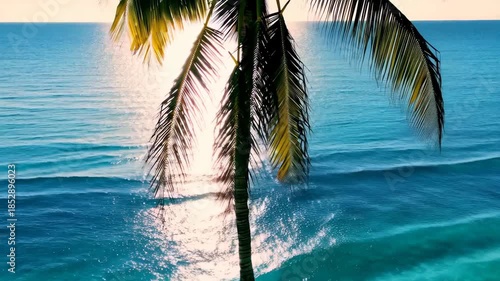 Palm tree gracefully outlined against a stunning backdrop of turquoise ocean waves and a golden sunset. the serene and tropical ambiance evokes a sense of tranquility and escape, ideal for vacation th