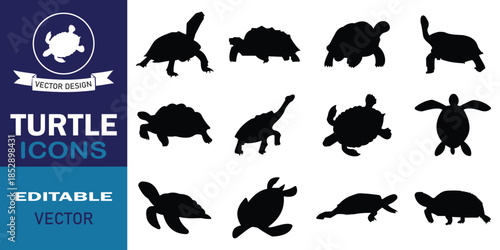 Set of sea turtle vector in silhouette design. Black turtle patterned in tribal design, underwater animal set. Vector illustration.