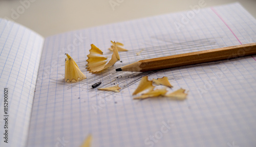 Photo of graphite pencil with shavings