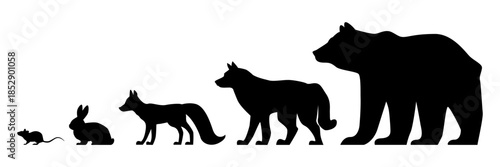 Forest animals. Black silhouettes of bear and wolf. Fox profile view. Hare and mouse. Woodland mammals sizes. Hunting sequence infographic. Tundra fauna. Vector set on white background