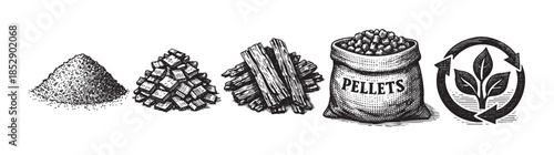 This illustration depicts the progression of biomass pellet production from raw material to a recycling symbol, rendered in a classic woodcut style.