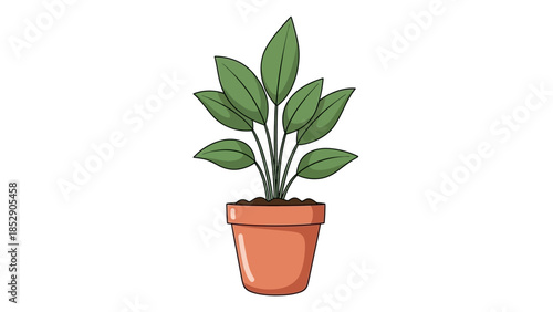 Potted Green Plant Illustration