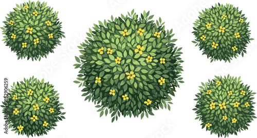 Top view flowering green bushes vector set for garden landscaping park design decorative foliage isolated on white background illustration