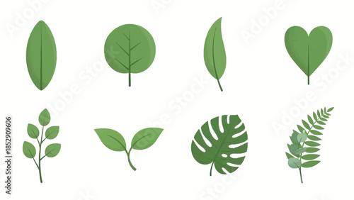 Collection of green plant leaves in various shapes and forms