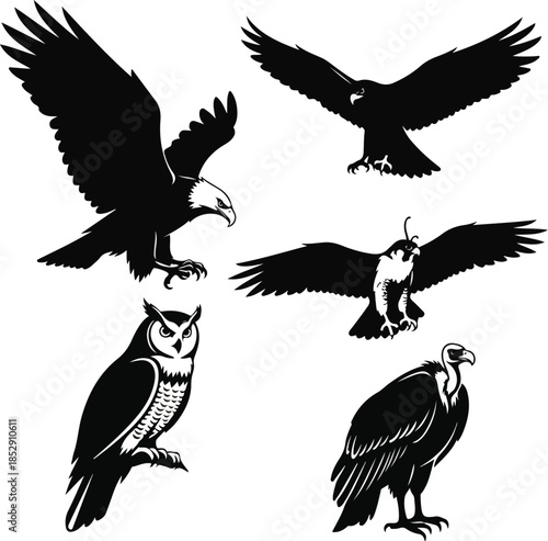 A set of five animal silhouettes featuring various birds of prey including eagles and an owl in different poses on a white background. Perfect for graphic resources, animal designs, and