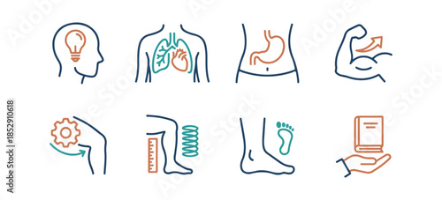 Medical anatomy icons set illustration healthcare research