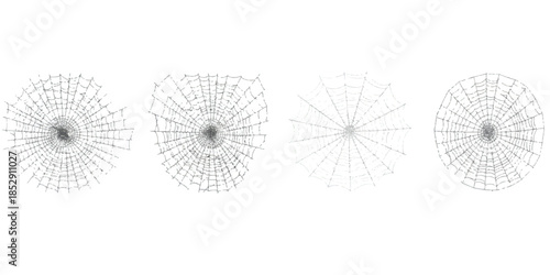 Set of diverse spider web illustrations showcasing intricate natural patterns