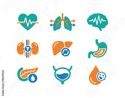 Medical icons heart lungs brain kidneys liver stomach pancreas bladder blood