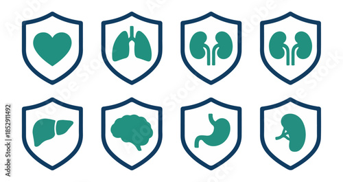 Medical icons human organs and health symbols on shields