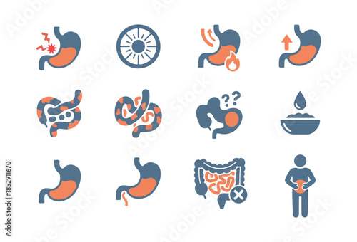 Medical icons illustrating human internal organs and conditions