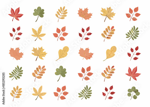 A colorful collection of autumn leaves in various shapes and shades