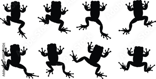 Set of black frog silhouettes in various jumping and sitting poses, showcasing amphibian anatomy and different leg positions, isolated on a white background.