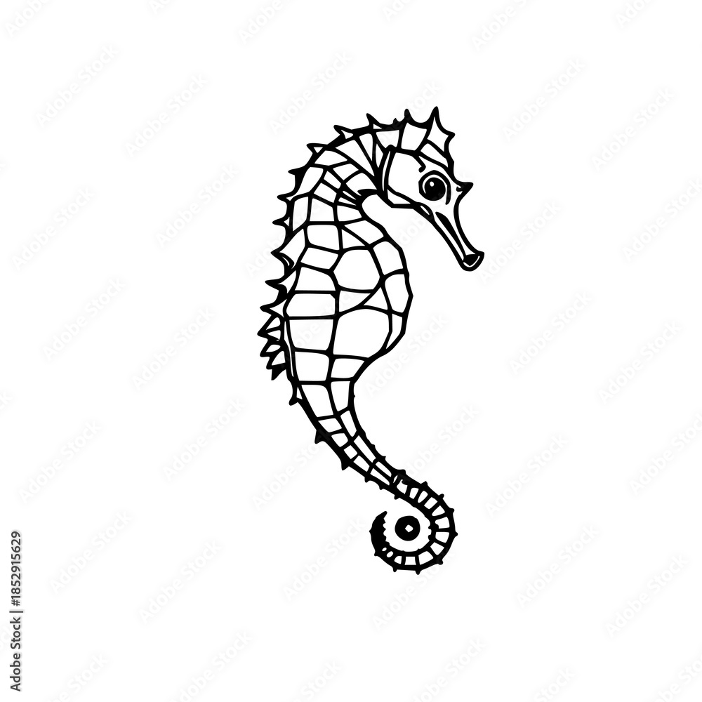 Fototapeta premium ​Dried seahorse silhouette, black line art, white