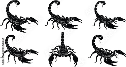 Set of Black Scorpion Silhouettes in Various Poses, Illustrating Danger, Poison, Zodiac Signs, Desert Wildlife, and Toxin Concepts for Design.