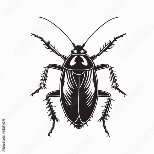 Cockroaches Insects Vector illustration in isolated White Background