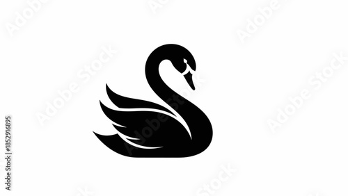 A simple black swan vector illustration on a white background symbolizing love, nature, and harmony between two birds