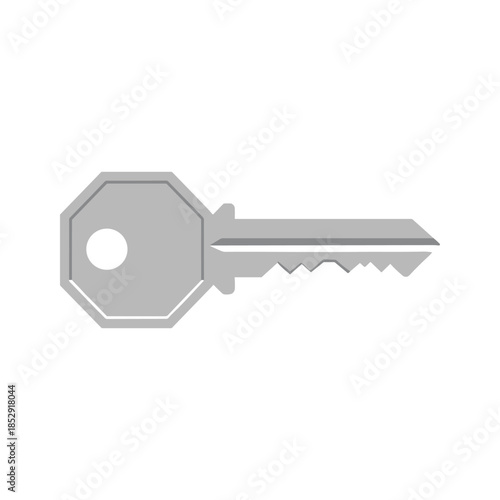 Gray key icon on white background