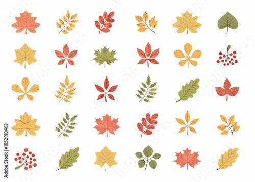 A colorful collection of autumn leaves in various shapes and shades