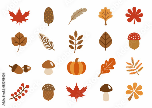 A collection of autumn leaves seeds and fungi in warm earthy tones