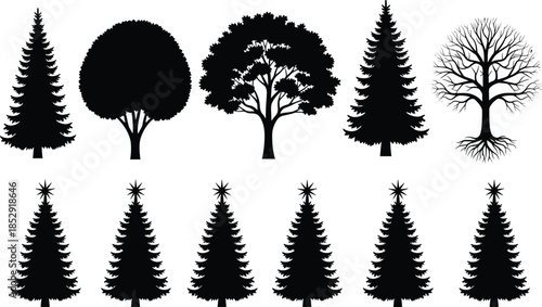 Tree Silhouette Collection Featuring Pine, Fir, and Deciduous Trees, Nature Forest Illustration Set Isolated on White Background