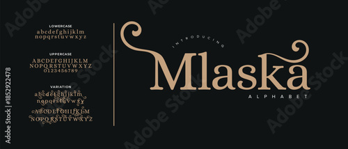 Elegant alphabet beauty logo font. Classic beautiful Modern luxury Serif Letter Minimal Fashion. Typography decoration logotype fonts, wedding, logos. vector illustration