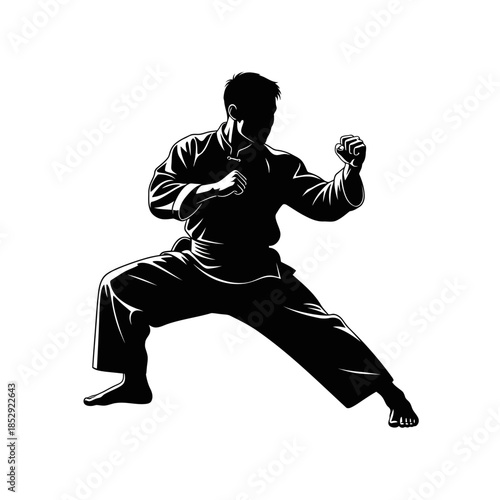 Dynamic silhouette of a martial artist in a fighting stance, ready for action, showcasing strength and discipline.