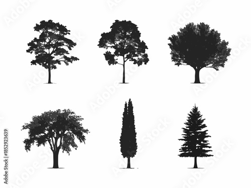 Silhouettes of various tree types against a plain white background
