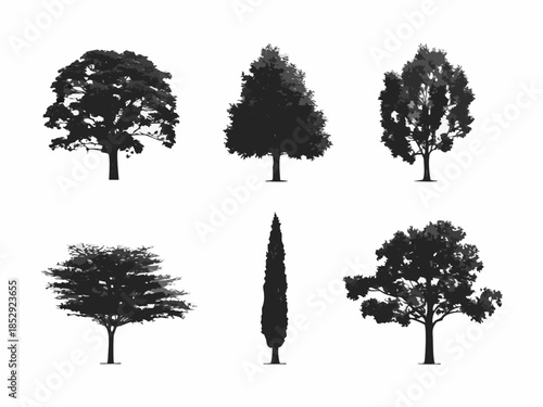 Silhouettes of various trees and foliage against a plain white background