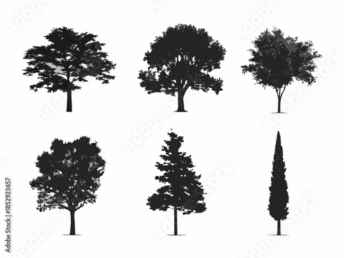 Silhouettes of various trees and foliage against a clean white background