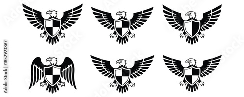 Heraldic Eagle with Shield and Spread Wings Coat of Arms Design Graphic Symbol Emblem Sign for Security Military Company Logo Illustration Vector