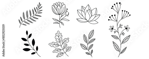 Set of Flowers and Leaves Hand Drawn Vector Botanical Illustration Collection Various Plants Decorative Elements Isolated on Transparent Background