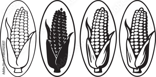 Four stylized corn cobs in oval frames black and white vector illustration
