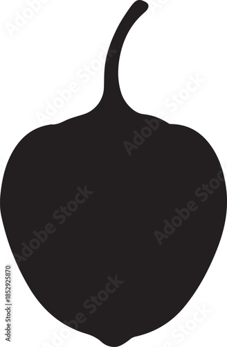 Jicama vegetable with stem dark silhouette transparent background healthy food ingredient