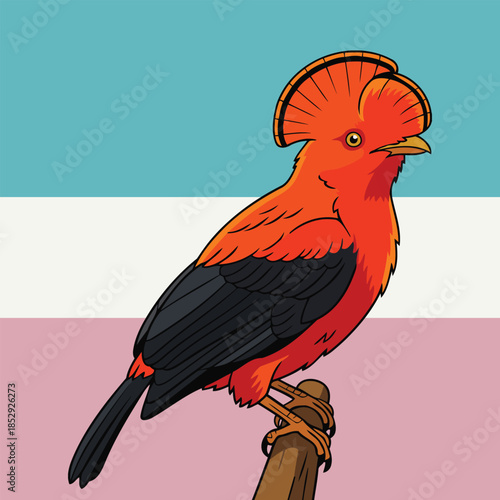 Andean Cock of the Rock Perched on a Branch - Animal Character Vector Illustration 