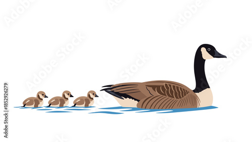 A mother duck with her three adorable ducklings swimming gracefully in a row on calm water, portraying family bond and natural beauty.