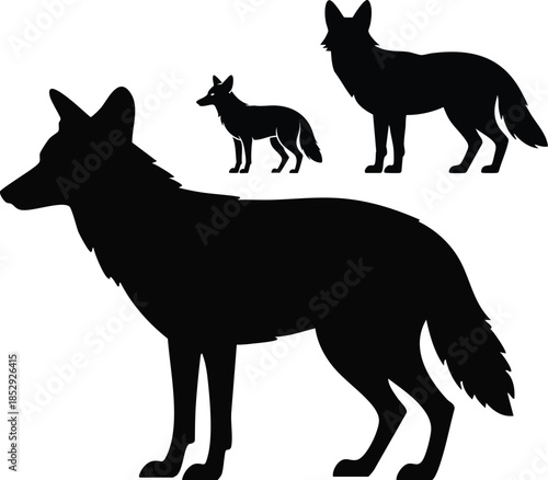 Silhouettes of a Wolf Pack, Wolf, Coyote, and Pup Silhouettes, Wilderness Profiles, silhouette, illustration, vector