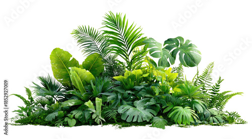 Lush tropical foliage, showcasing varied leaf shapes and textures, isolated on a black background