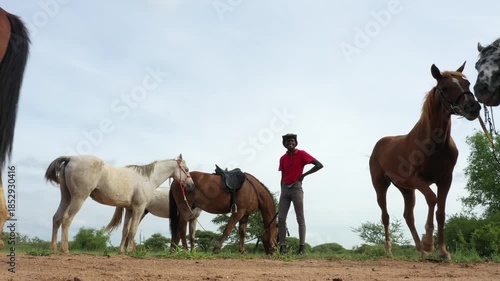 African horseback safari , African man holding a group of horse herd trail , low angle, riding in Botswana, Africa.